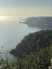 Looking back from Shag Cliff, past Long Quarry Point, Black Head, Hope's Nose, and The Ore Stone